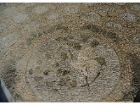 2001 06 f14 - Gardens -Suzhou