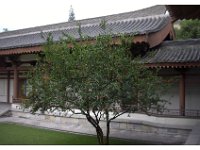 Xian - Art Museum
