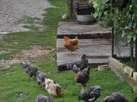 2013094028 Kumrovec (Tito Birth Place) Croatia - Sept 17