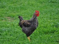 2013094039 Kumrovec (Tito Birth Place) Croatia - Sept 17