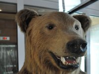 2013093701 Plitvice National Park Croatia - Sept 16