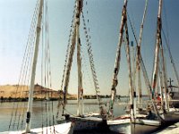 1992071178 Darrel-Betty-Darla Hagberg - Egypt Vacation