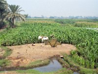 1992071022A Darrel-Betty-Darla Hagberg - Egypt Vacation