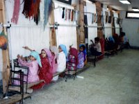 1992071042A3 Darrel-Betty-Darla Hagberg - Egypt Vacation