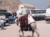 1992071092A Darrel-Betty-Darla Hagberg - Egypt Vacation