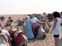 1992071093A Darrel-Betty-Darla Hagberg - Egypt Vacation