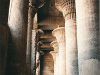 1992071251 Darrel-Betty-Darla Hagberg - Egypt Vacation