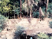 1992071194 Darrel-Betty-Darla Hagberg - Egypt Vacation