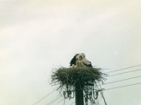 1996075422 Darrel and Betty Hagberg - Estonia