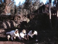 1964121104 Students planting our flowers