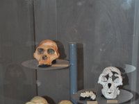 2012095042 National Museum - Addis Ababa - Ethiopia