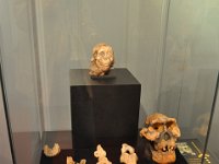 2012095045 National Museum - Addis Ababa - Ethiopia