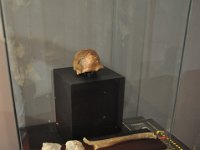 2012095047 National Museum - Addis Ababa - Ethiopia