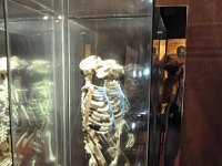 2012095058 National Museum - Addis Ababa - Ethiopia