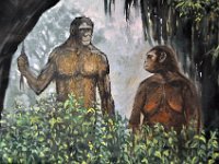 2012095069 National Museum - Addis Ababa - Ethiopia