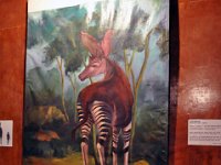 2012095079 National Museum - Addis Ababa - Ethiopia