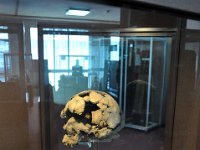 2012095090 National Museum - Addis Ababa - Ethiopia