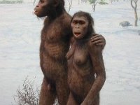 2012095246 National Museum - Addis Ababa - Ethiopia