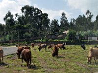 2012095421 City Views - Addis Ababa -Ethiopia