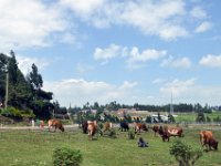 2012095422 City Views - Addis Ababa -Ethiopia