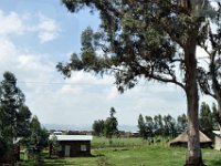 2012095428 Debre Berhan -Ethiopia