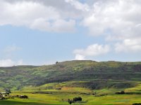 2012095432 Debre Berhan -Ethiopia