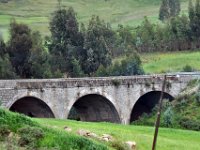 2012095442 Debre Berhan -Ethiopia