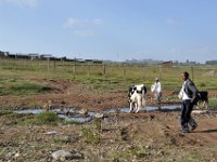2012095468 Debre Berhan -Ethiopia