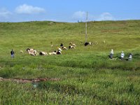 2012095473 Debre Berhan -Ethiopia