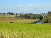 2012095479 Debre Berhan -Ethiopia