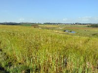 2012095483 Debre Berhan -Ethiopia