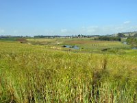 2012095484 Debre Berhan -Ethiopia