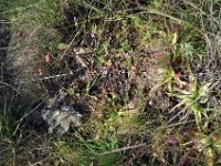 2012095494 Debre Berhan -Ethiopia