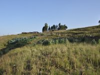 2012095506 Debre Berhan -Ethiopia