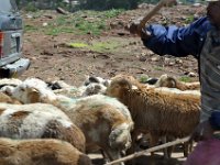 2012094456 City Views - Addis Ababa Ethiopia Sep 25