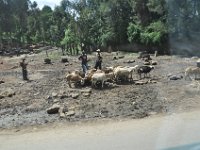 2012094464 City Views - Addis Ababa Ethiopia Sep 25