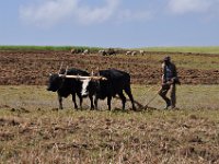 2012095946 Ankober -Ethioipia - Sep 28