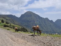 2012095973 Ankober -Ethioipia - Sep 28