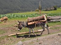 2012095980 Ankober -Ethioipia - Sep 28