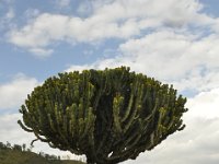 2012096759 Stelae Park - Axum - Ethiopia - Oct 01