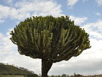 2012096888 Queen of Shebas Palace (or Dungur)  - Axum - Ethiopia - Oct 01