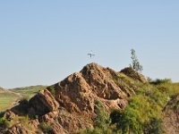 2012096981 Axum - Ethioipia - Oct 02