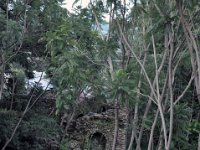 2012097047 Fasilo Ghebbi Royal Enclosure - Gondar Ethiopia - Oct 02