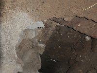 2012097135 Fasilo Ghebbi Royal Enclosure - Gondar Ethiopia - Oct 02