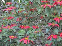 2012097152 Fasilo Ghebbi Royal Enclosure - Gondar Ethiopia - Oct 02