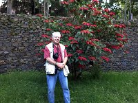 2012097153 Fasilo Ghebbi Royal Enclosure - Gondar Ethiopia - Oct 02