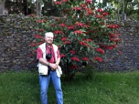 2012097154 Fasilo Ghebbi Royal Enclosure - Gondar Ethiopia - Oct 02