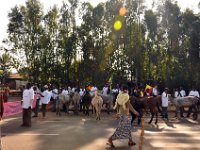 2012097520 Blue Nile Falls & Lake Tana - Ethioipia - Oct 05