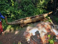 2012097597 Blue Nile Falls & Lake Tana - Ethioipia - Oct 05