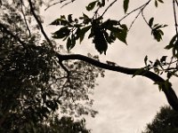 2012097637 Blue Nile Falls & Lake Tana - Ethioipia - Oct 05